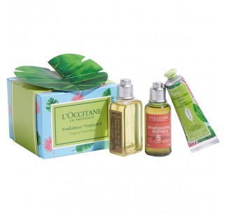 Estuche De Hoja Verbena