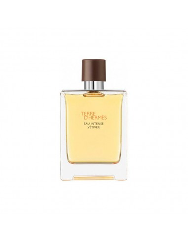Terre D'Hermes Eau Intense Vetiver