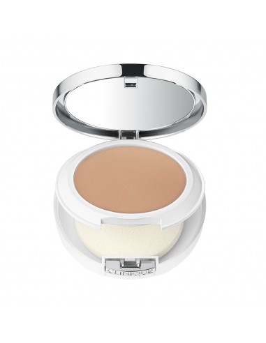 Beyond Perfecting Powder Concealer