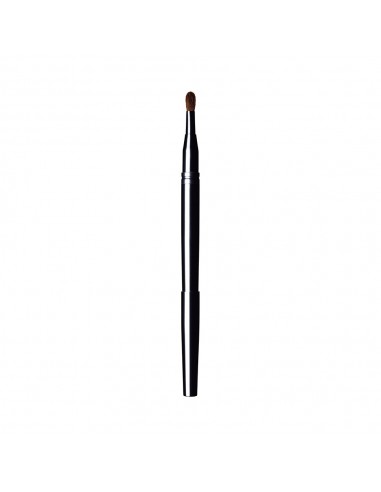 Lip Brush