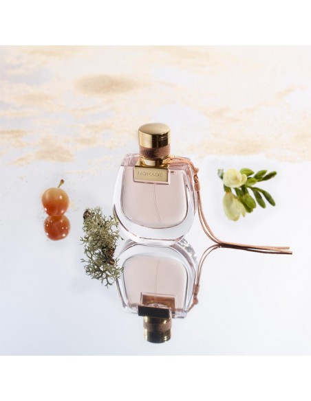 Nomade EDP