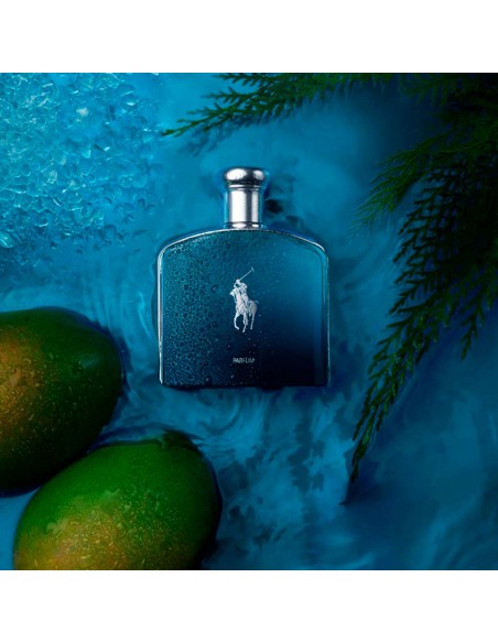 Polo Deep Blue