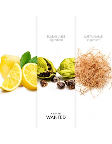 Wanted Deodorant Spray