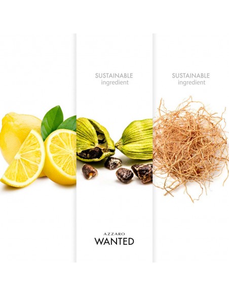 Wanted Deodorant Spray