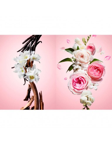 Flowerbomb