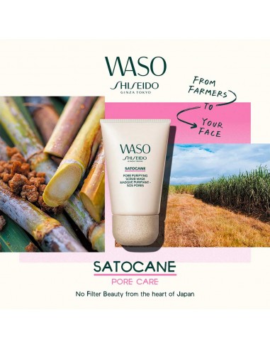 Waso Satocane Pore Purifying Scrub Mask