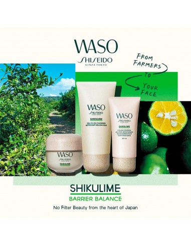 Waso Shikulime Color Control Oil Free...