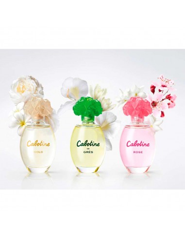 Cabotine Rose