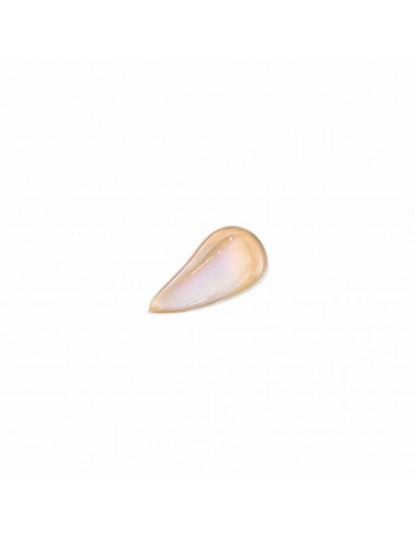Absolue The Serum Refill