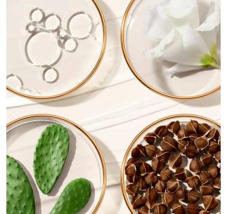 Revitalizing Supreme +... 2