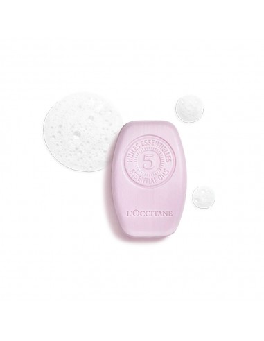 Gentle Solid Shampoo