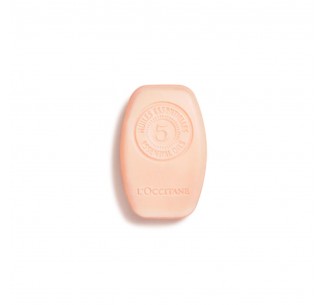 Repair Solid Shampoo