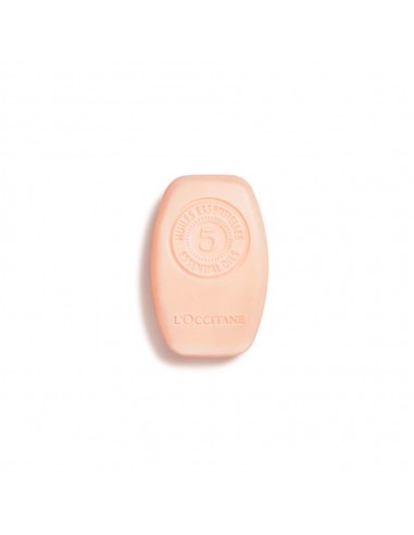 Repair Solid Shampoo