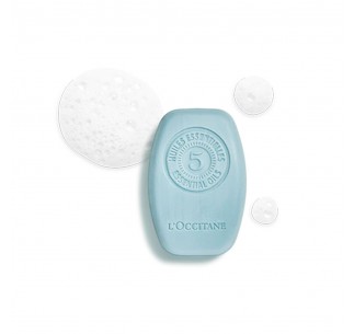 Fresh Solid Shampoo