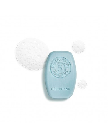 Fresh Solid Shampoo