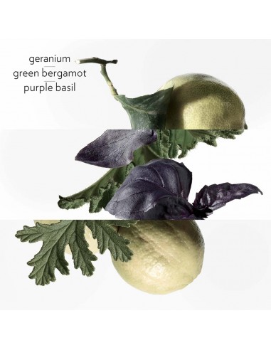 Eau de Basilic Pourpre