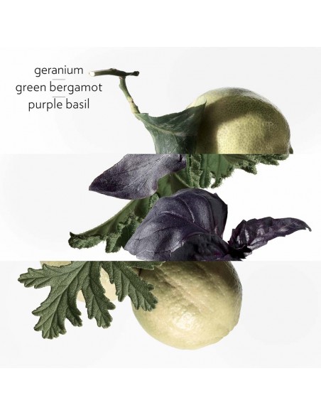 Eau de Basilic Pourpre