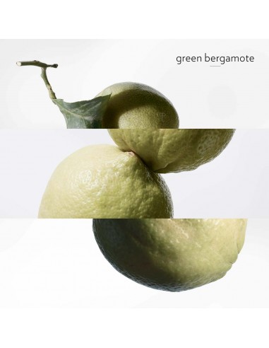 Eau de Basilic Pourpre