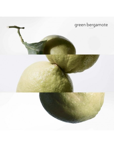 Eau de Basilic Pourpre