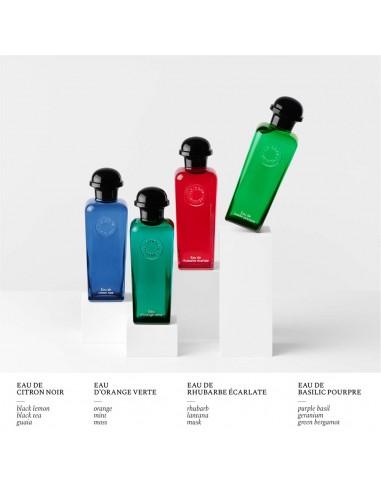 Eau de Basilic Pourpre