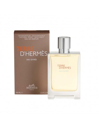 Terre D'Hermès Eau Givrée