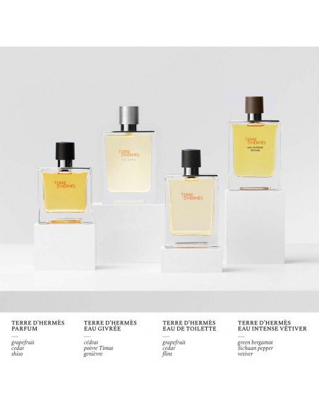 Terre D'Hermès Eau Givrée Refill