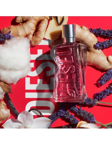D by Diesel