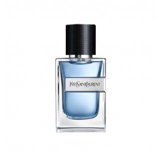 Y EDT