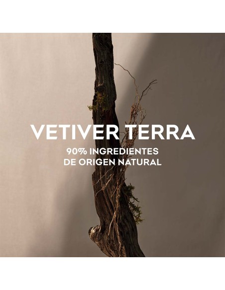 Vetiver Tierra