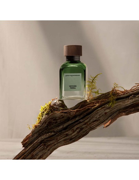 Vetiver Tierra