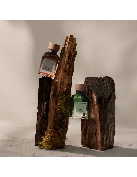 Vetiver Tierra