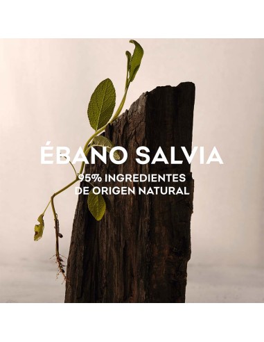 Ébano Salvia