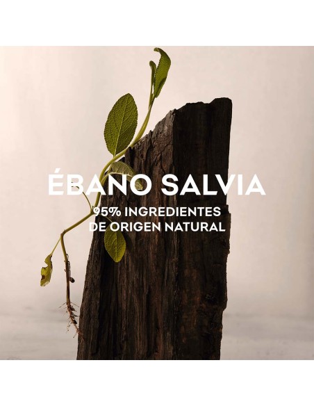 Ébano Salvia