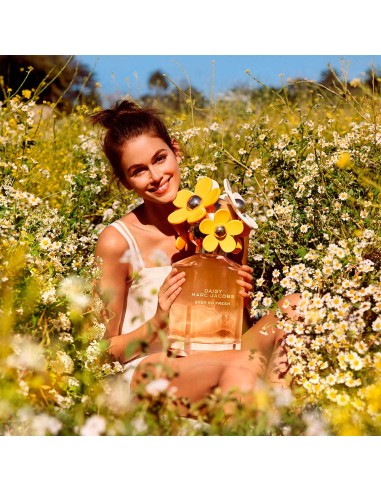 Daisy Ever So Fresh
