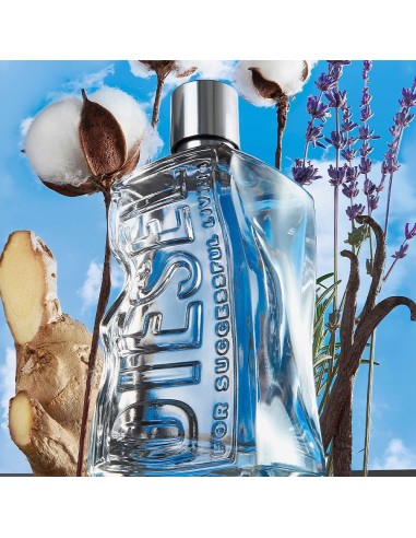 D by Diesel Recarga