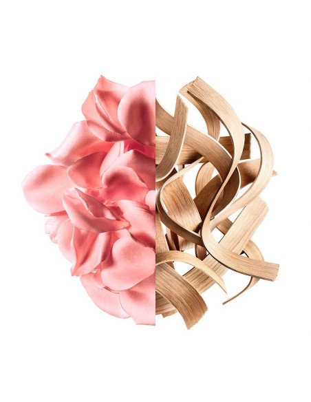 Irresistible Rose Velvet