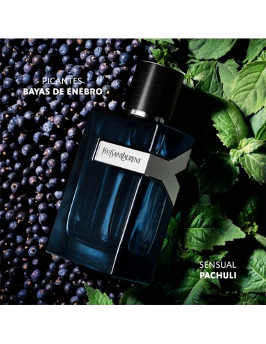 Y EDP Intense