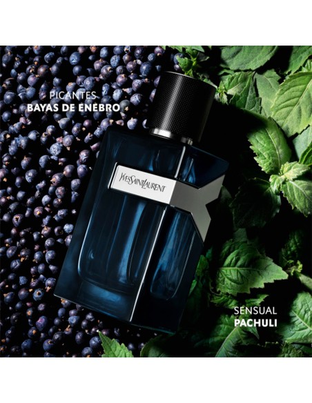 Y EDP Intense