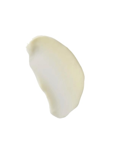 Neuropeptide Night Cream
