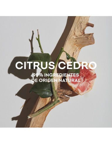 Agua Fresca Citrus Cedro