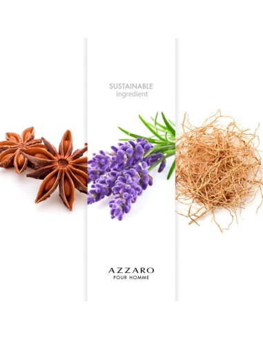 Desodorante Stick Azzaro Pour Homme
