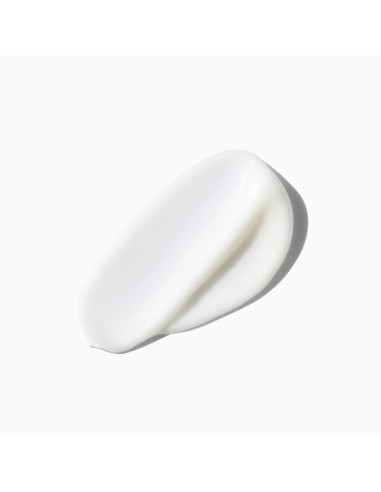 Fondant Magistral