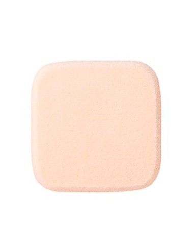 AQ Makeup Sponge