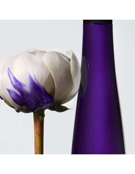 Anti-Brass Purple Shampoo