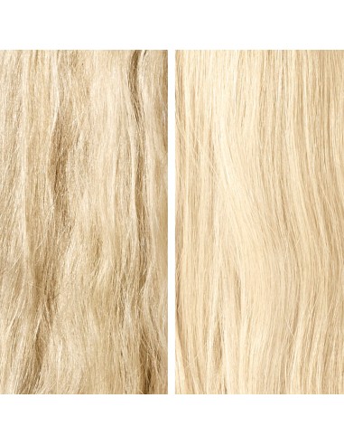 Glow Reveailing Shampoo
