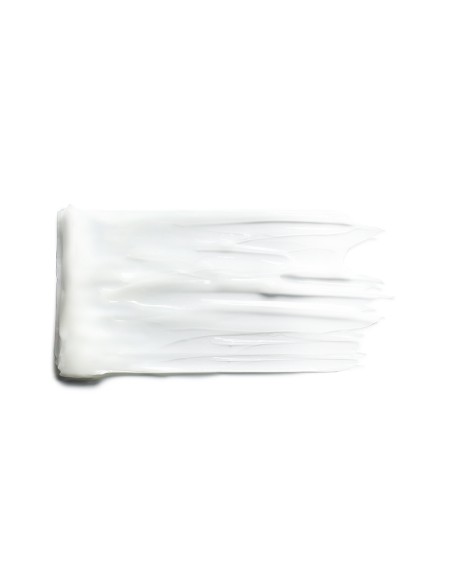 Lightweight Care Conditioner