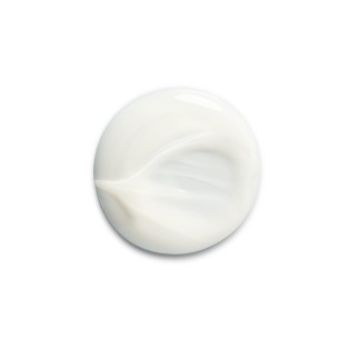 Restorative Shampoo 2