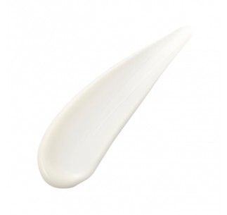 Absolute Silk Fluid 2