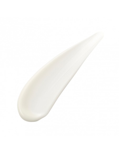 Absolute Silk Fluid