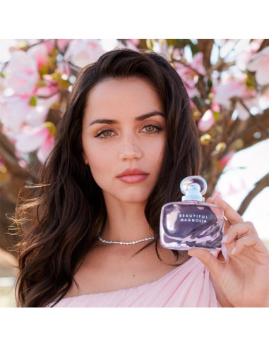 Beautiful Magnolia